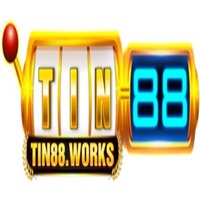 TIN88