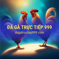 Đá Gà Trực Tiếp 999 - Video đá gà trực tiếp full HD chất lượng cao