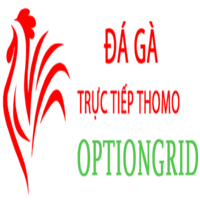 Đá Gà Trực Tiếp Thomo