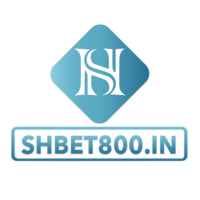 shbet800in