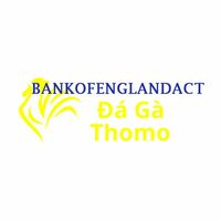 Đá Gà Trực Tiếp Thomo - Cung Cấp Xem Trực Tuyến Đá Gà Cựa Sắt Campuchia