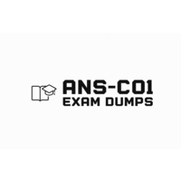 ANS-C01 Exam Dumps