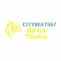 Đá Gà Trực Tiếp Thomo - Thương Hiệu Xem Đá Gà