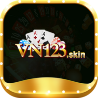 vn123skin