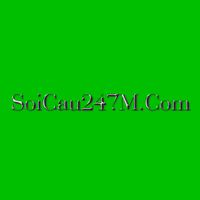 Soi cầu 247