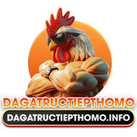 dagatructiepthomo.info