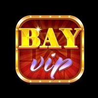 BAYVIP