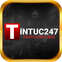 tintuc247biz
