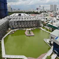 110 căn biệt thự