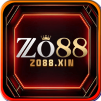 zo88xin