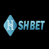 Vincent Đỗ - CEO SHBET