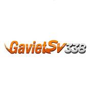 gavietsv388org