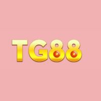 tg88appnet