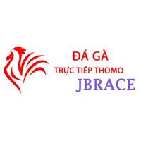 Đá Gà Trực Tiếp Thomo Hôm Nay