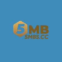 5MB