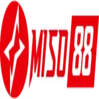 miso88bo cn com