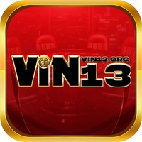vin13org