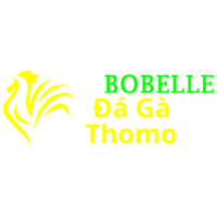 Đá Gà Trực Tiếp Thomo
