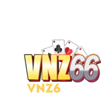 Vnz6shop