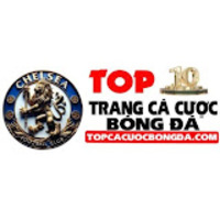 Top Cá Cược Bóng Đá 2025 – Cập nhật kèo bóng đá nhanh chóng