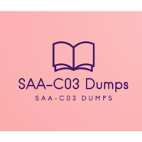 SAA-C03 Dumps