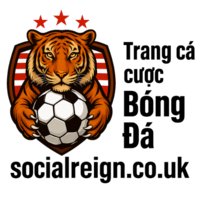 Trang cá cược bóng đá Reign