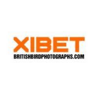 Xibet  ✔️ Xibet Brit | Đăng Ký Hội Viên Tặng Thưởng 99k