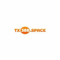 tx388