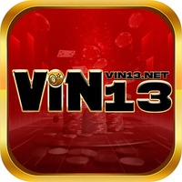 vin13net