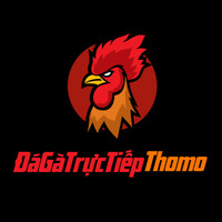Đá Gà Trực Tiếp Thomo – Trải nghiệm kịch tính, cá cược an toàn và ưu đãi hấp dẫn mỗi ngày