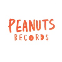 PEANUTS RECORDS