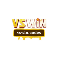 VSWIN