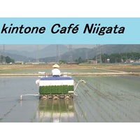 kintone Café 新潟