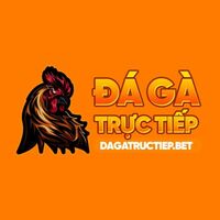 Đá Gà Trực Tiếp – Link Đá Gà Thomo Campuchia Mới Nhất 2025