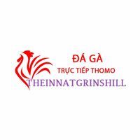 Đá Gà Trực Tiếp Thomo - Trải Nghiệm Đá Gà Trực Tiếp Thomo Mỗi Ngày 