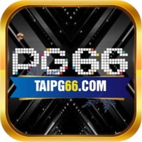 taipg66com