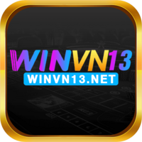 winvn13net