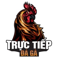 TrucTiepDaGa.online - Nơi cá cược trực tiếp đá gà siêu chất lượng