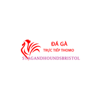 Đá Gà Trực Tiếp Thomo