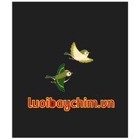 Luoibaychim Vn