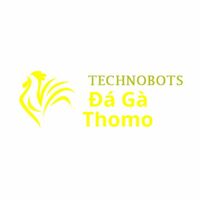 Đá Gà Trực Tiếp Thomo - Nơi Cập Nhật Hàng Loạt Trận Đấu Đá Gà Cựa Sắt Campuchia