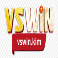 VSWIN
