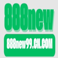 888new99 cn com