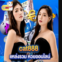 cat888