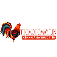 Thomohomnay - Trực tiếp đá gà Thomo hôm nay