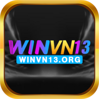 winvn13