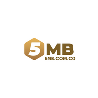 5MB