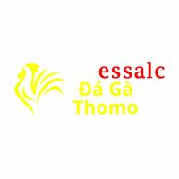 Đá Gà Trực Tiếp Thomo - Trải Nghiệm Giải Trí 